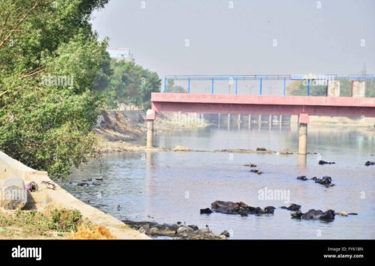 Rice Canal Bridge